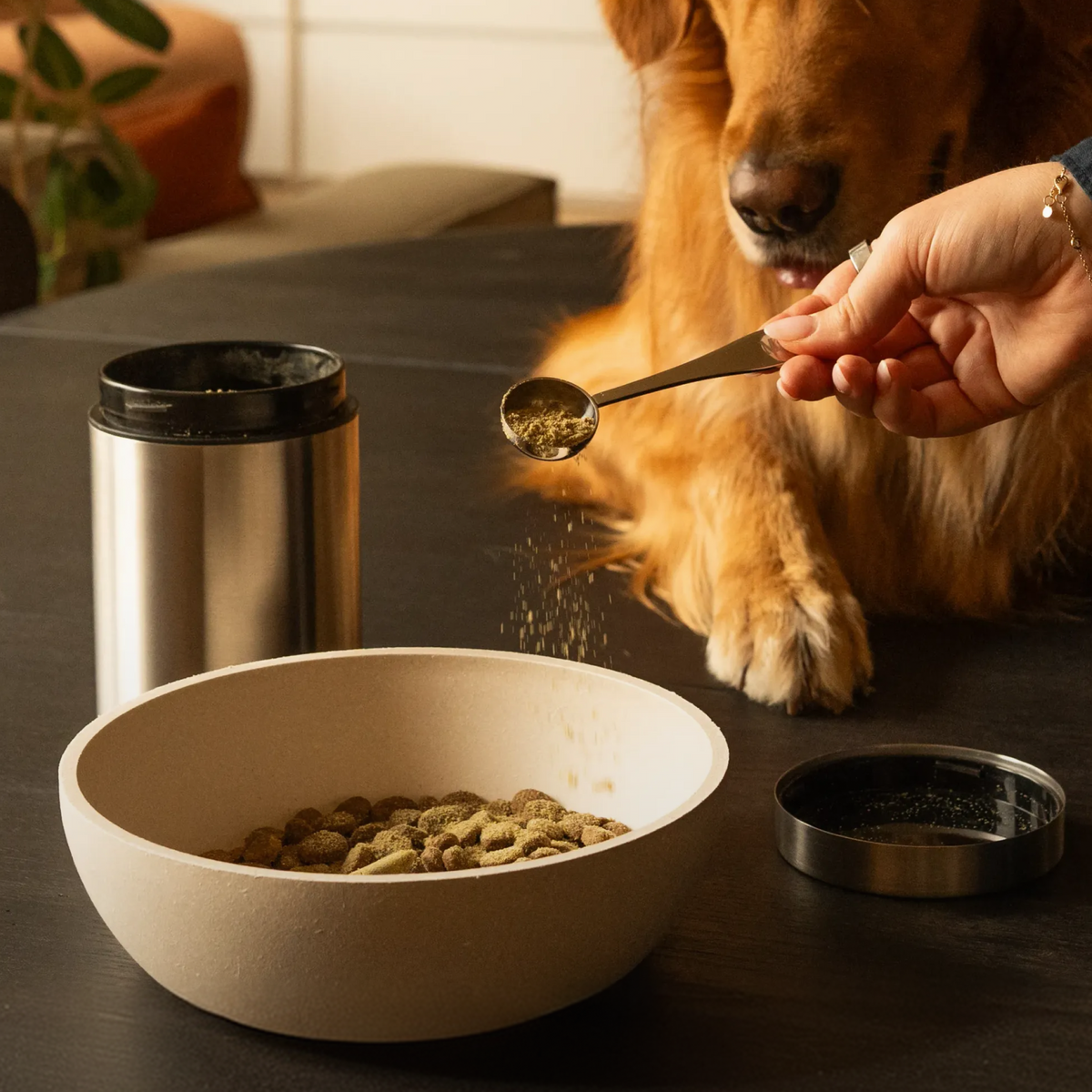 MD1™ All-in-One Advanced Dog Supplement