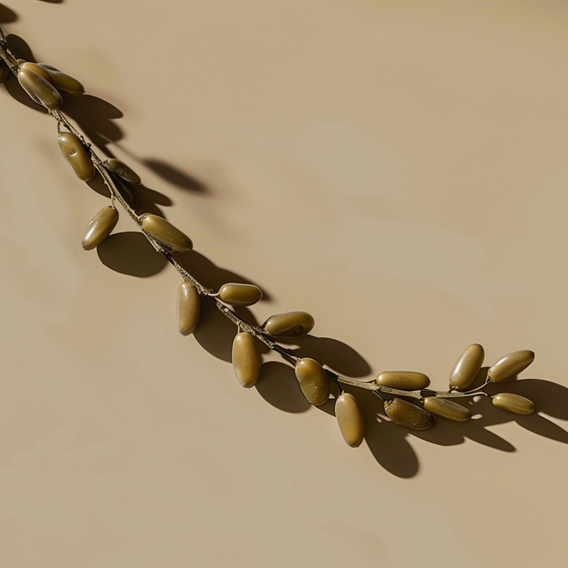 Norwegian Kelp (Ascophyllum nodosum)