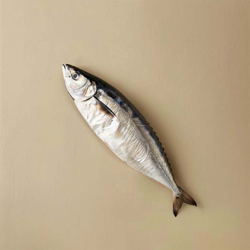 Fish Oil (Omega-3; EPA/DHA)