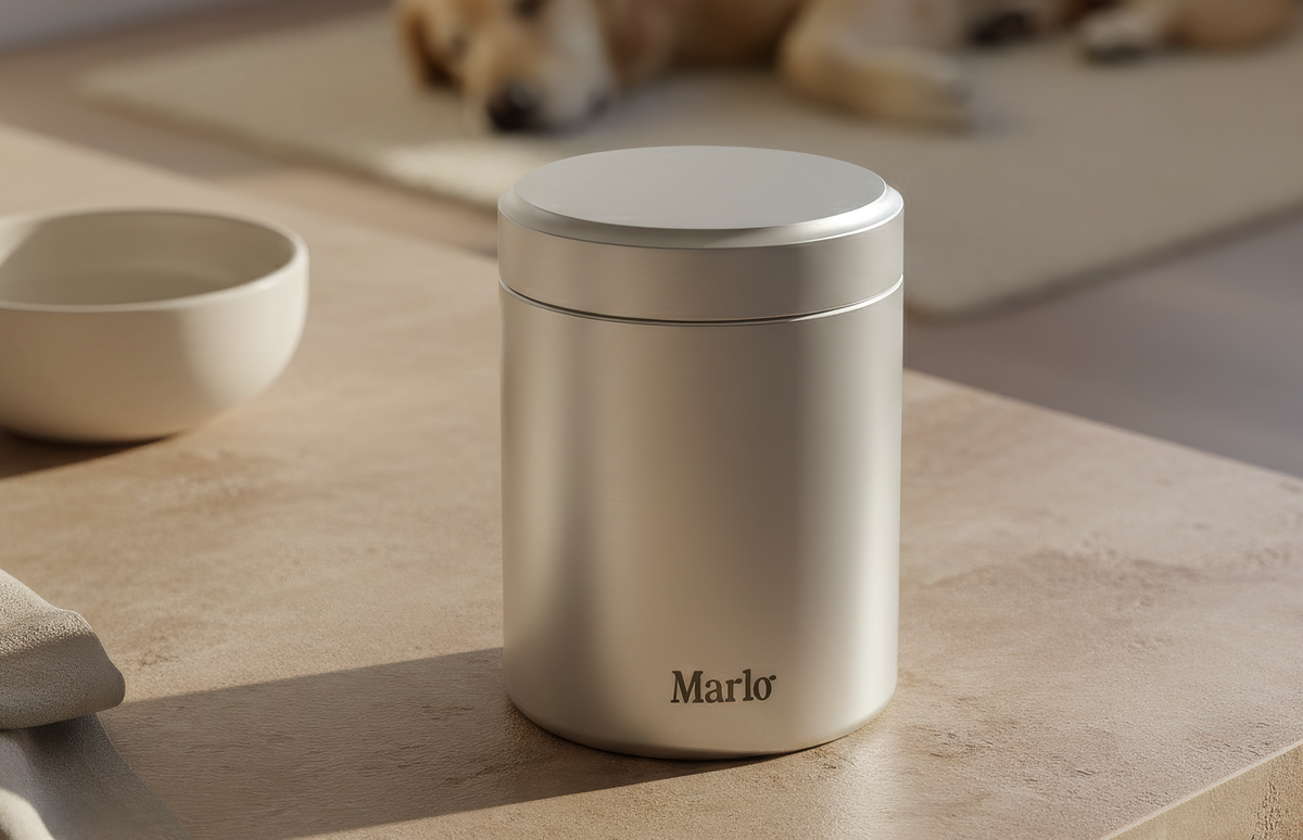 Daily Foundation for Dogs